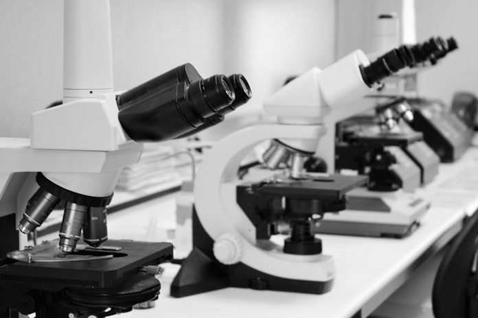 Mais de 100 iniciativas nacionais e regionais pretendem atrair investigadores para a União Europeia