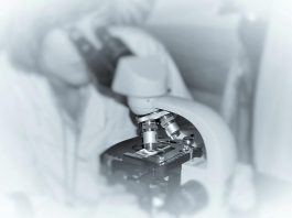 Jejum intermitente e exercícios melhora doença hepática gordurosa