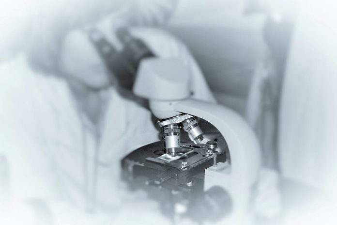 Deficiência de zinco na alimentação promove infeção pulmonar por bactéria Acinetobacter baumannii Deficiência de zinco na alimentação promove infeção pulmonar por bactéria Acinetobacter baumannii