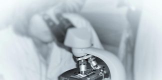 Instituto Politécnico da Guarda poderá em breve ter cursos de doutoramento