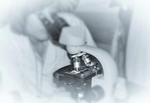 Proteína associada ao Parkinson pode tornar doença de Alzheimer mais rápida em mulheres Proteína associada ao Parkinson pode tornar doença de Alzheimer mais rápida em mulheres