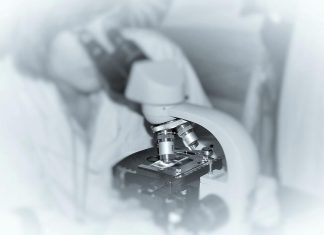 Proteína associada ao Parkinson pode tornar doença de Alzheimer mais rápida em mulheres Proteína associada ao Parkinson pode tornar doença de Alzheimer mais rápida em mulheres