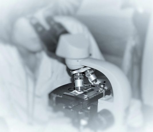 FCT divulga atribuição de mais 1.600 Bolsas de Doutoramento num investimento de 145 milhões de euros FCT divulga atribuição de mais 1.600 Bolsas de Doutoramento num investimento de 145 milhões de euros