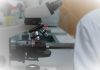 Nova ferramenta de Inteligência Artificial pode revolucionar tratamento personalizado do cancro Nova ferramenta de Inteligência Artificial pode revolucionar tratamento personalizado do cancro