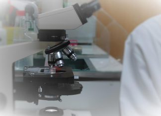 Nova ferramenta de Inteligência Artificial pode revolucionar tratamento personalizado do cancro Nova ferramenta de Inteligência Artificial pode revolucionar tratamento personalizado do cancro
