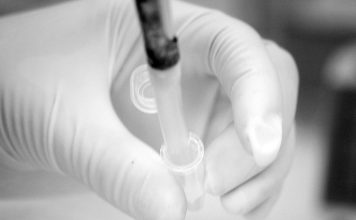 Nova vacina contra a gripe para adultos – mFLUSIVA- da Moderna é aprovada nos EUA Nova vacina contra a gripe para adultos - mFLUSIVA- da Moderna é aprovada nos EUA