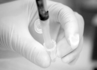 Bactérias geneticamente modificadas mostram ser um recurso eficaz no tratamento de cancros difíceis Bactérias geneticamente modificadas mostram ser um recurso eficaz no tratamento de cancros difíceis