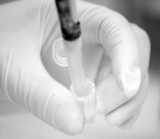 Bactérias geneticamente modificadas mostram ser um recurso eficaz no tratamento de cancros difíceis Bactérias geneticamente modificadas mostram ser um recurso eficaz no tratamento de cancros difíceis
