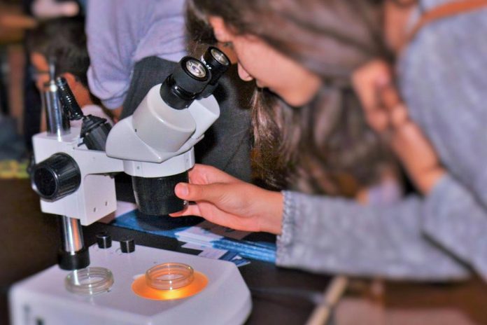 Noite Europeia dos Investigadores 2025 reúne comunidade na “Ciência para os Desafios Globais”