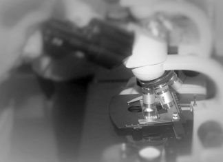 Identificada hormona com responsabilidades no cancro do pâncreas