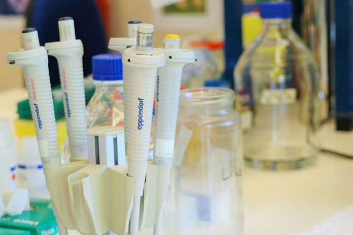 Vacina de mRNA contra gripe aviária mostra ser eficaz