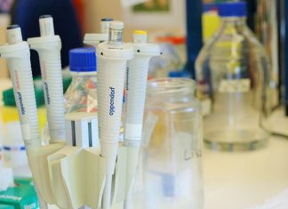 Nova terapia combinada melhora tratamento do cancro do fígado Nova terapia combinada melhora tratamento do cancro do fígado