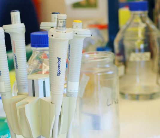 Nova terapia combinada melhora tratamento do cancro do fígado