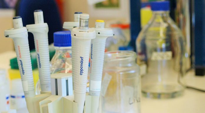 Nova terapia combinada melhora tratamento do cancro do fígado