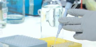 Vírus da gripe D tem potencial transmissão comunitária