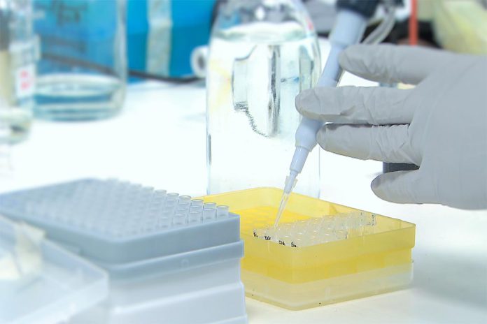 Vírus da gripe D tem potencial transmissão comunitária