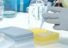 Estudo mostra que o cancro é controlado remotamente e na base está um gene que pode vir a ser um alvo terapêutico Estudo mostra que o cancro é controlado remotamente e na base está um gene que pode vir a ser um alvo terapêutico