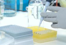 Estudo mostra que o cancro é controlado remotamente e na base está um gene que pode vir a ser um alvo terapêutico