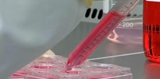 Trabalho em Laboratório