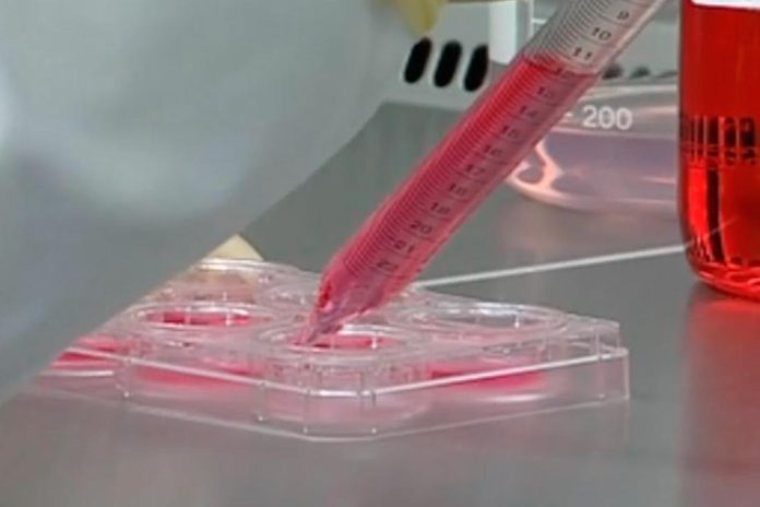 OMS: Surto de ébola na República Democrática do Congo