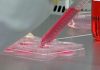 Reino Unido estabelece diretrizes sobre “carne” cultivada em laboratório Reino Unido estabelece diretrizes sobre “carne” cultivada em laboratório