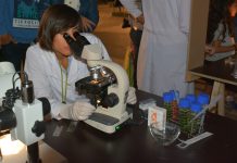 Impedir mulheres e meninas na ciência é privar o mundo de talentos