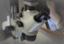 Imunoterapia com quimioterapia antes da cirurgia pode beneficiar tratamento do cancro do pâncreas