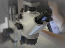 Quimioimunoterapia pré-operatória é mais eficaz do que imunoterapia isolada em pacientes com cancro da cabeça e pescoço