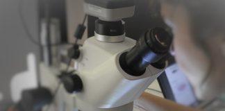 Quimioimunoterapia pré-operatória é mais eficaz do que imunoterapia isolada em pacientes com cancro da cabeça e pescoço Quimioimunoterapia pré-operatória é mais eficaz do que imunoterapia isolada em pacientes com cancro da cabeça e pescoço