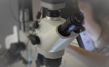 Quimioimunoterapia pré-operatória é mais eficaz do que imunoterapia isolada em pacientes com cancro da cabeça e pescoço Quimioimunoterapia pré-operatória é mais eficaz do que imunoterapia isolada em pacientes com cancro da cabeça e pescoço