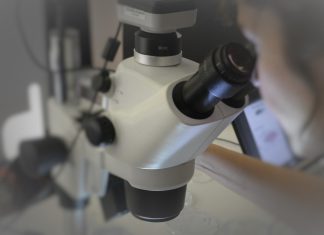Bolsas financiadas pela União Europeia atraem 21 627 candidaturas de investigadores de todo o mundo Bolsas financiadas pela União Europeia atraem 21 627 candidaturas de investigadores de todo o mundo