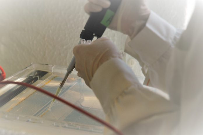 Descoberta forma hereditária de cancro da próstata