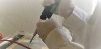 ADN de múmias chilenas mostra que a varíola foi levada para a América pelos europeus ADN de múmias chilenas mostra que a varíola foi levada para a América pelos europeus