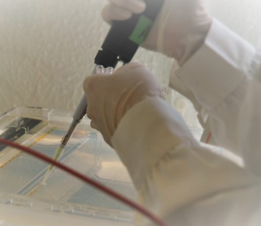 ADN de múmias chilenas mostra que a varíola foi levada para a América pelos europeus ADN de múmias chilenas mostra que a varíola foi levada para a América pelos europeus