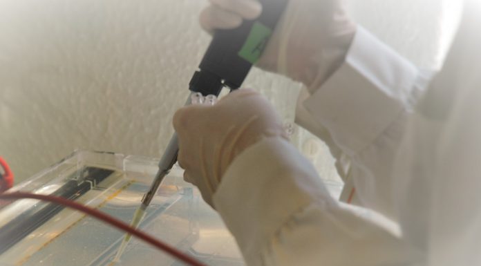 ADN de múmias chilenas mostra que a varíola foi levada para a América pelos europeus ADN de múmias chilenas mostra que a varíola foi levada para a América pelos europeus