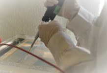 Identificada molécula responsável por uma das formas mais letais de cancro da mama que abre caminho para tratamento mais eficaz