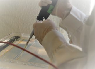Níveis elevados de vitamina B12 nos pais associado menor risco de defeitos congénitos
