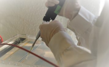 Níveis elevados de vitamina B12 nos pais associado menor risco de defeitos congénitos Níveis elevados de vitamina B12 nos pais associado menor risco de defeitos congénitos