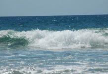 União Europeia assina Tratado sobre o Alto Mar para proteção dos oceanos