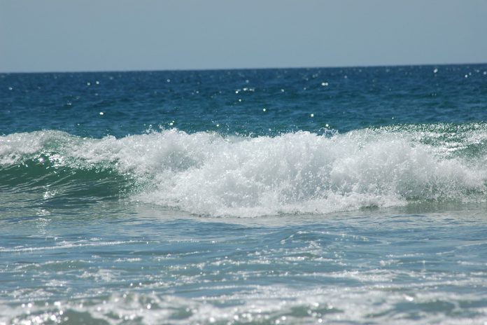 Acordo sobre a Biodiversidade nos oceanos recebe 60 ratificações para entrada em vigor