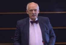 Janusz Korwin-Mikke, Eurodeputado