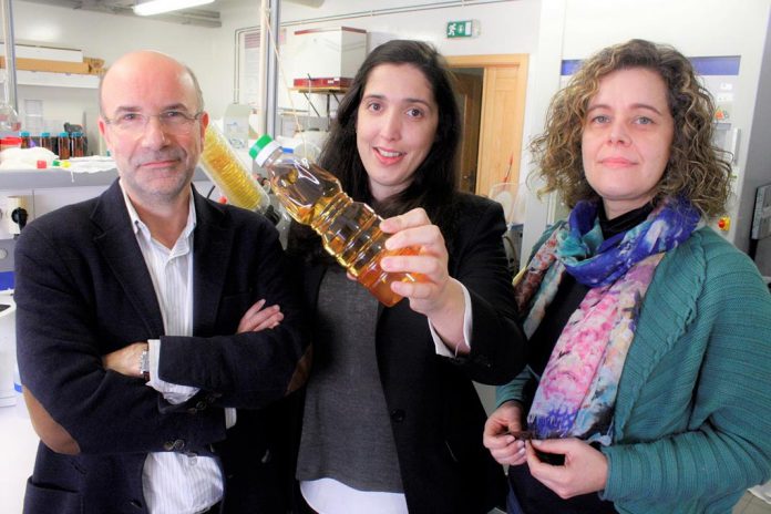 Manuel A. Coimbra, Ana Tasso Rosa e Cláudia Nunes, investigadores da UA.