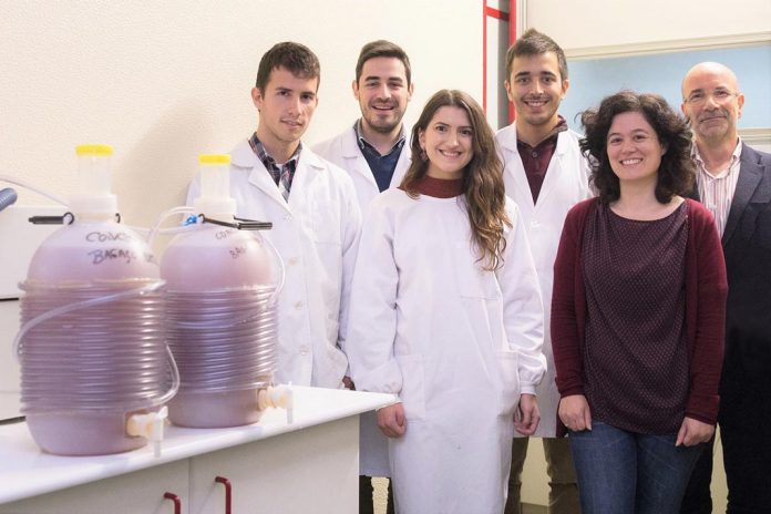 Estudantes e mentores da UA envolvidos no desenvolvimento da sidra ecoinovadora, Cidermace