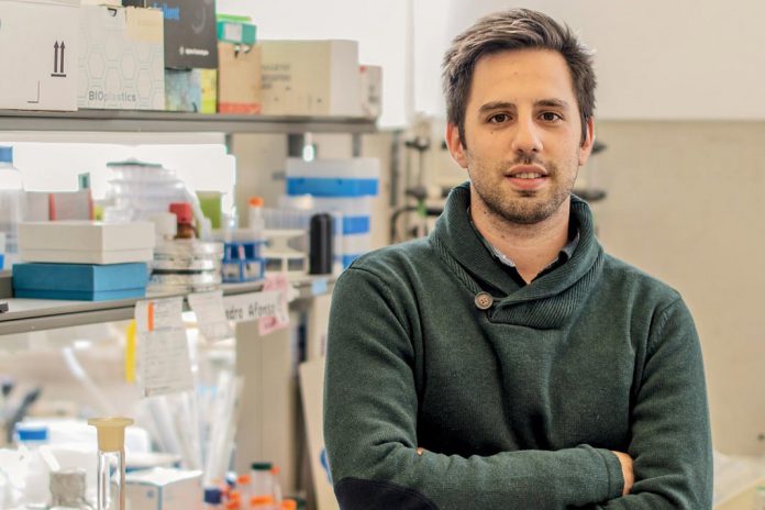 Luís Martins, investigador do CNC