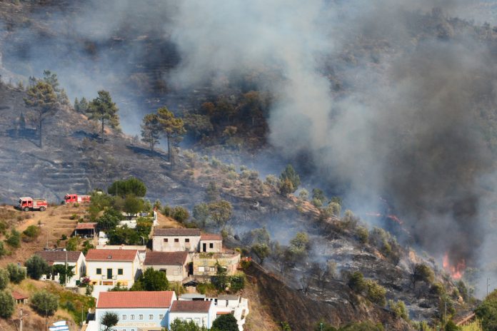 FCT seleciona para financiamento mais 19 projetos prevenção e combate a incêndios