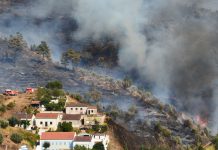 Calor e incêndios: Sociedade Portuguesa de Pneumologia faz recomendações para prevenir complicações respiratórias
