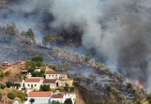 Limpeza para prevenção de incêndios pode ser pouco eficaz