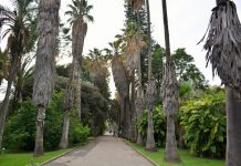 Jardim Botânico Tropical, em Lisboa