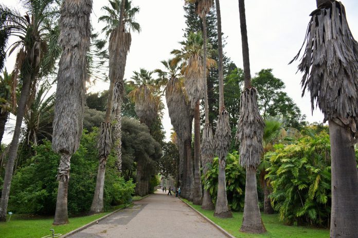 Jardim Botânico Tropical, em Lisboa