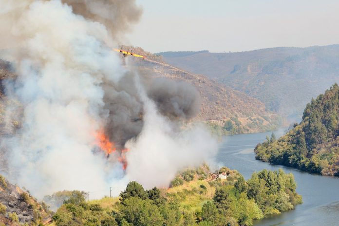 Prevenção de incêndios florestais em Portugal tem ajuda da Comissão Europeia